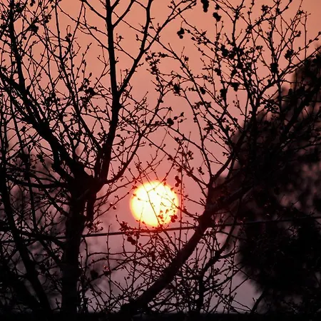 Near Paradise Koropi