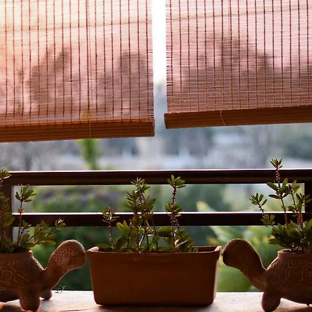 Tatil Evi Near Paradise