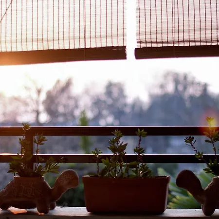 Near Paradise Tatil Evi