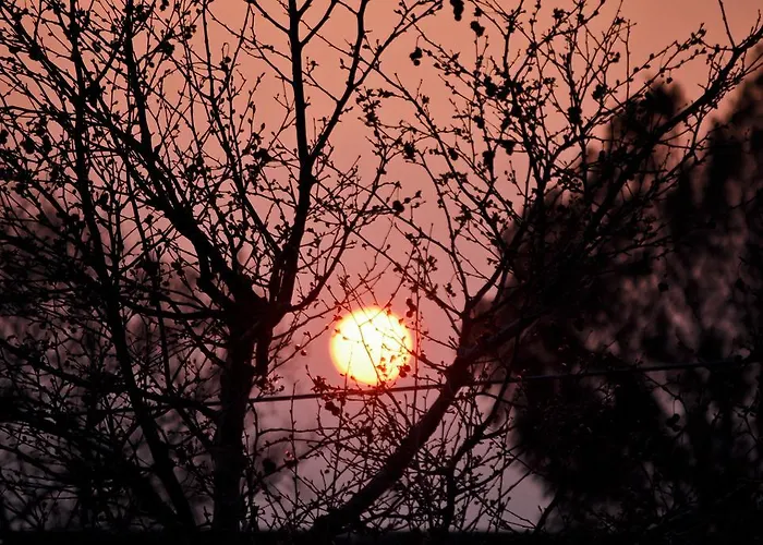 Near Paradise Koropi