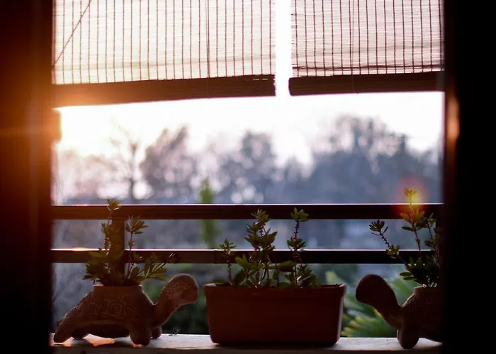 Near Paradise Holiday home